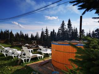Camere de închiriat Centru Ski - Ranca - 3