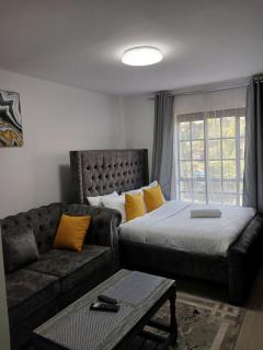 STADEVIEW Studios NAIROBI WEST - 0