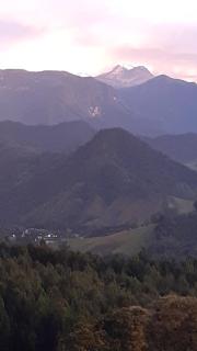 casa de guadua - Manizales - 1