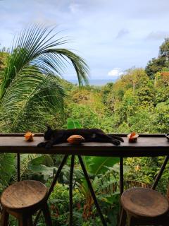 Finca La Selvita Chocolate experience - Buritaca - 1