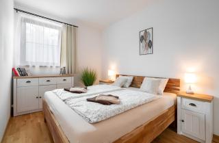 Apartmán Horalka - Deštné v Orlických horách - 9
