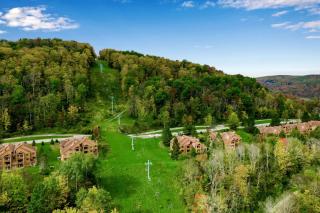 Renovated Ski In Out Condo King Bed Patio Grill - Ellicottville - 6