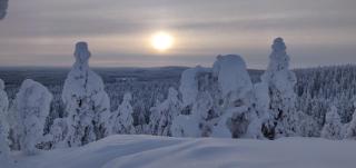 Vuokatin Välke A10 - Vuokatti - 2