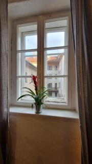 Innsbruck Historical City Appartement Goldenes Dachl - Innsbruck - 5