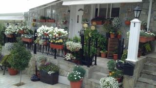 Kyperounta Troodos mountain house - Limassol - 1
