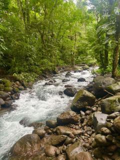 Arenal by the river - San Francisco - 1