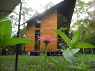 Mogambo Ecolodge - Viotá - 8