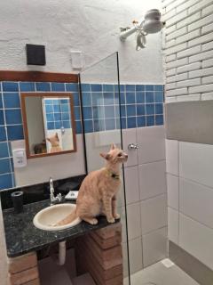 Charmosa Suite - Arraial d'Ajuda - 3