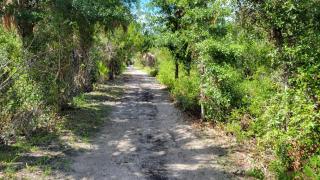 Condo C201 at Natures Landing - 1