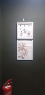 STAY WITH DAy CAUCON - 6