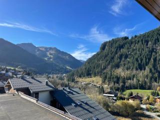 Charmant Studio proche du centre de Châtel - Châtel - 9