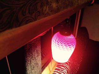 Stay Like a Rock Star Tour Bus in Durham NC - Durham - 3