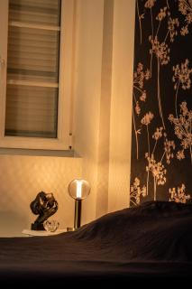 Cosy Haven Studio rénové, élégant Pougues les Eaux - 7