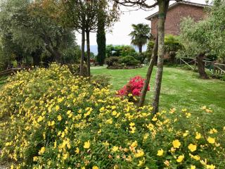 Il Pasco - Lucca - 9