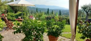 Il Pasco - Lucca - 5