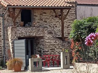 Gîte de charme avec vélos dans un village viticole proche Clisson et Puy du Fou - FR-1-306-818 - Monnières - 7