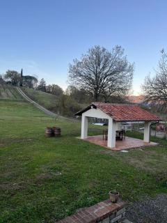 Antica Vigna Toscana - Poppi - 3