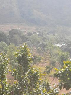 Nature valley home stay - 5