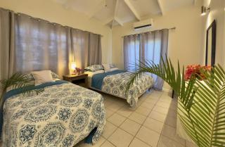 The White House - English Harbour - 9