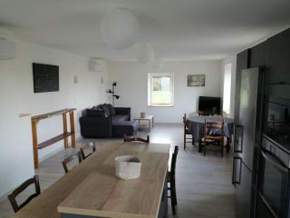 Meublé Climatisé 75 M2 - Souvans - 2