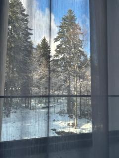 Šumska bajka Bjelašnica - Bjelašnica - 6