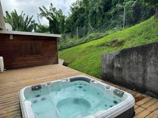 Villa Hibiscus , piscine & jacuzzi - 2