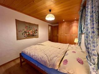 Gstaad Blue Sky Chalet - 1