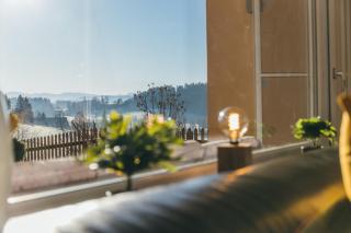 Ferienwohnung Alpenblick I Kamin I private Sauna - Wangen im Allgäu - 9
