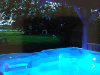 Cabane Trappeur Lodge avec Jacuzzi et Ferme Pédagogique - FR-1-410-458 - Cérans-Foulletourte - 7