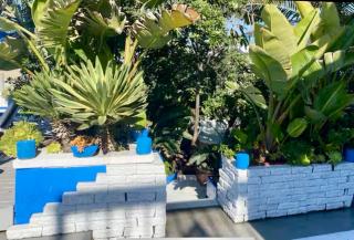 90210 Beach House Top Unit - 1