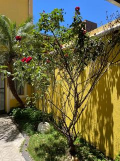 Casa nas Montanhas - Colina Grega - Montes Claros - 7