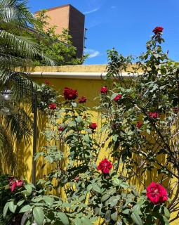 Casa nas Montanhas - Colina Grega - Montes Claros - 6
