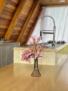 Cabana Azaléia - Vale do Funil - 4