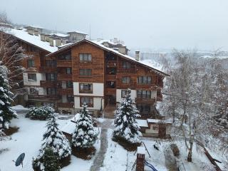 Slopes View Private Lodge - Luxury SPA in the 4-Star St Ivan Rilski Complex - Bansko - 1