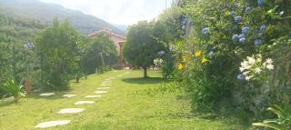 Iris Casa Vacanze - Stellanello - 0