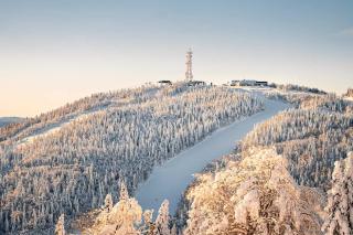 2 Semi-Detached Big Group or Family - Lac-Superieur - 4