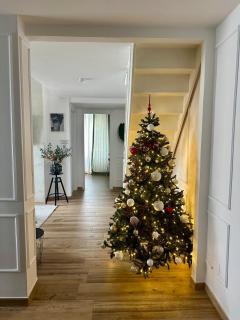 Domus Traiano - Port Apartment - Civitavecchia - 9