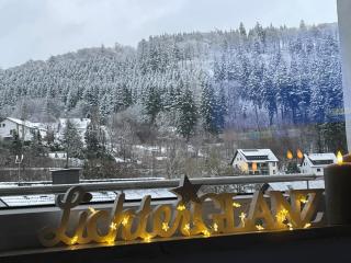 Kleiner Kristall inklusive MeineCard Plus - Willingen - 9