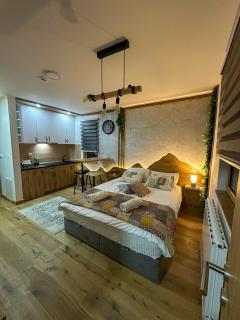 Apartment D248- aparthotel Vucko - Jahorina - 1