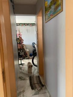 Cop 30 orla de Belém - 3