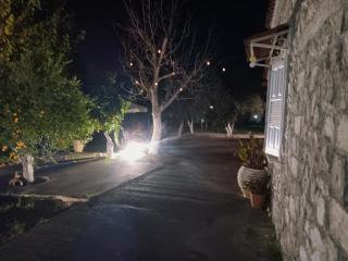 ΆΘΟΣ (ATHOS) - Nafplio - 7