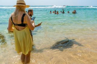 Villa Summer Dream - Galle - 6