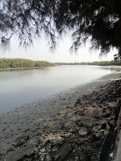 Campement les Antilles - 2