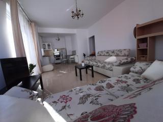 ARAD Chic Apartament UTA - Arad - 3