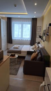 Comfy Corner N LUX 55 Milmari Apartment - Kopaonik - 3