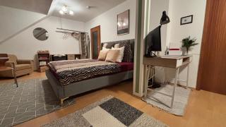 ModerneDG-Wohnung mit Homeoffice - Pulsnitz - 1