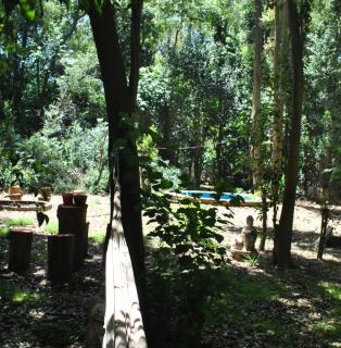 Savra - San Andrés de Giles - 6