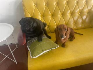 Skipper's Karon - Karon Beach - 9