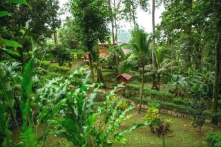 Samasati Rainforest Bungalows - 4