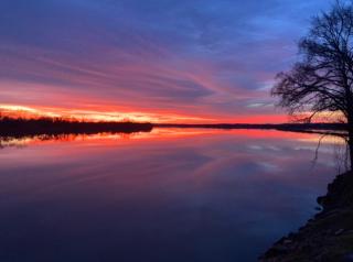 Paw Paw Tree Estate - 3